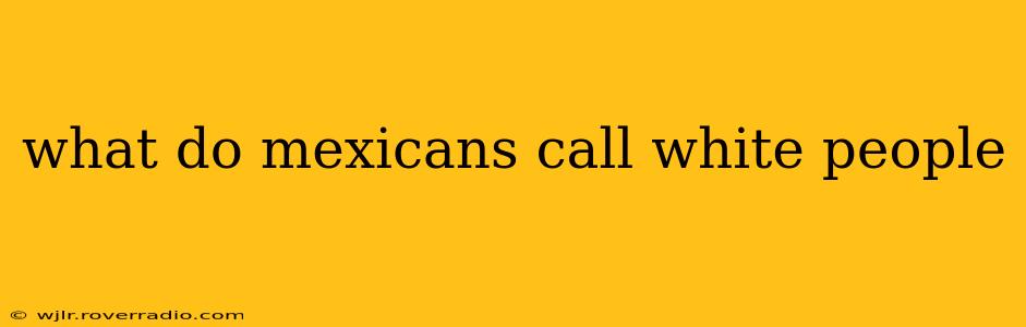 what do mexicans call white people