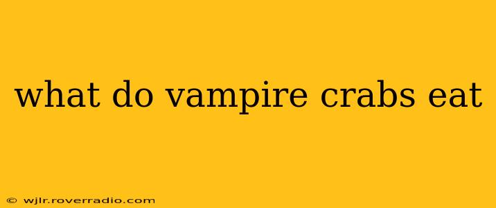 what do vampire crabs eat