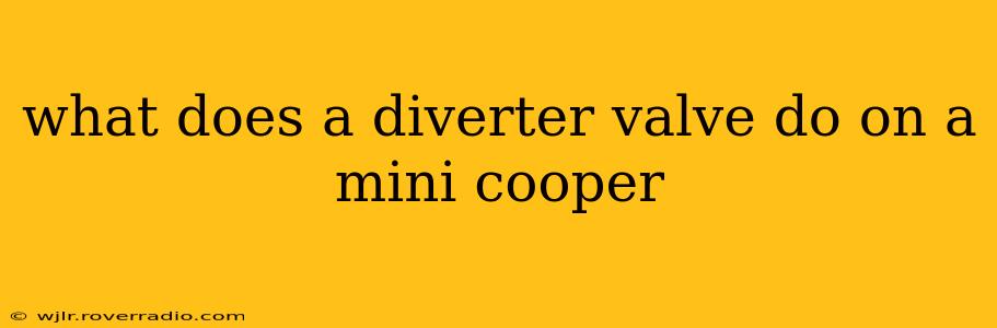 what does a diverter valve do on a mini cooper
