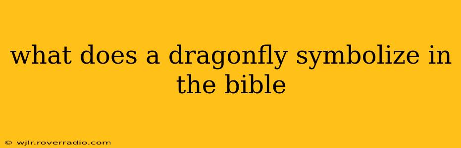 what does a dragonfly symbolize in the bible