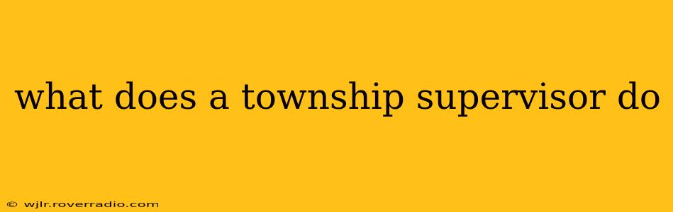 what does a township supervisor do