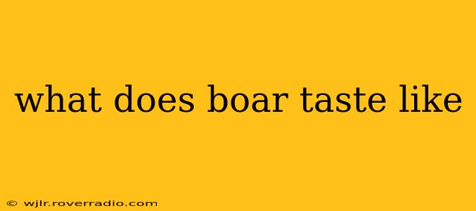 what does boar taste like