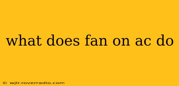 what does fan on ac do