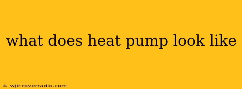 what does heat pump look like