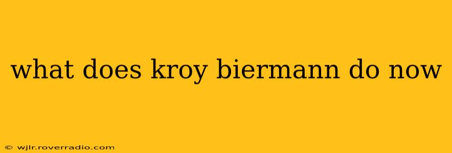what does kroy biermann do now