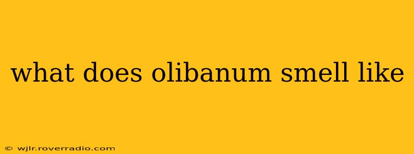 what does olibanum smell like