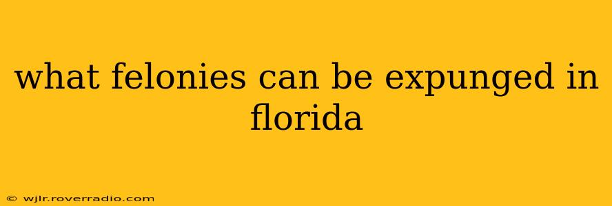 what felonies can be expunged in florida