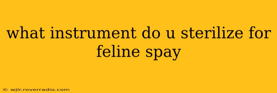 what instrument do u sterilize for feline spay