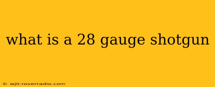 what is a 28 gauge shotgun