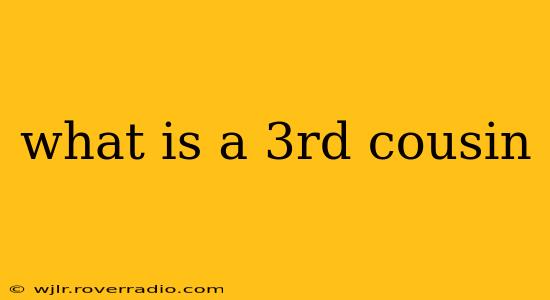 what is a 3rd cousin