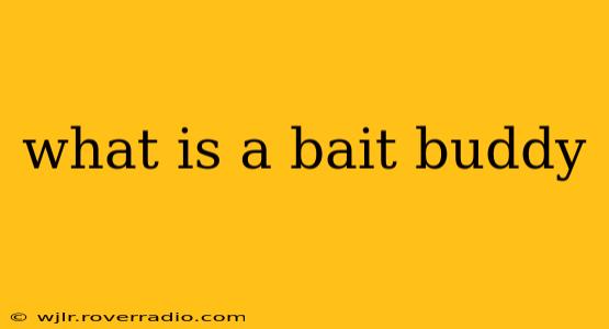 what is a bait buddy