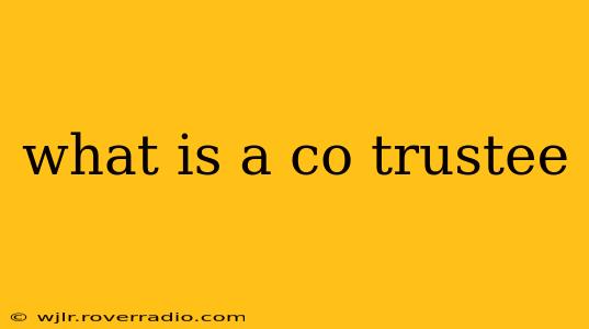 what is a co trustee