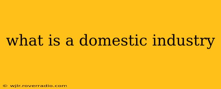what is a domestic industry