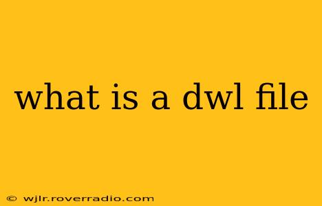 what is a dwl file