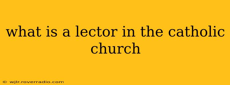 what is a lector in the catholic church