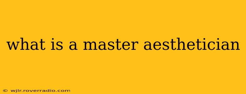 what is a master aesthetician