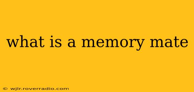 what is a memory mate