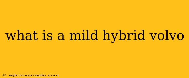 what is a mild hybrid volvo