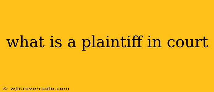what is a plaintiff in court