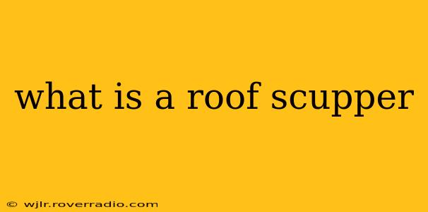 what is a roof scupper