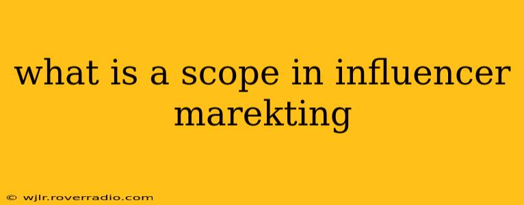 what is a scope in influencer marekting