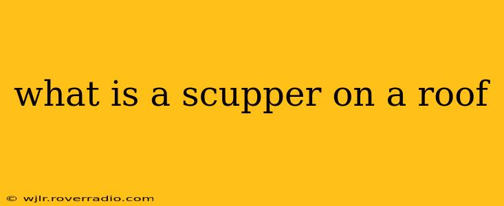 what is a scupper on a roof