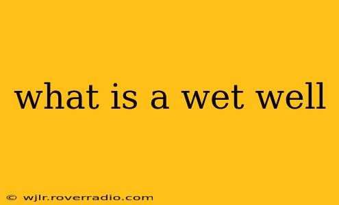 what is a wet well