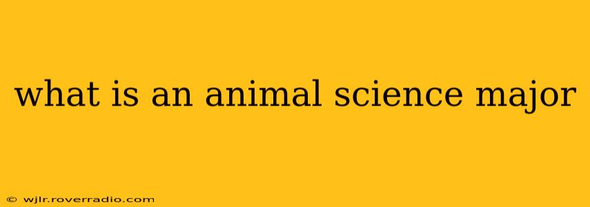 what is an animal science major
