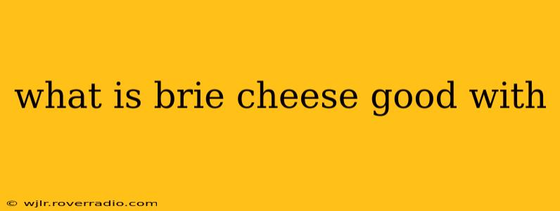 what is brie cheese good with