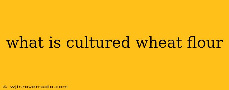 what is cultured wheat flour