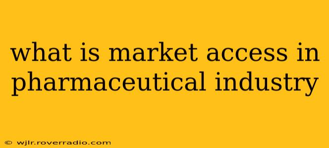 what is market access in pharmaceutical industry