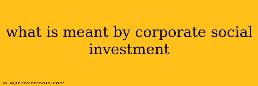 what is meant by corporate social investment