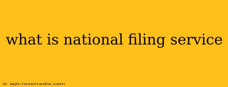 what is national filing service
