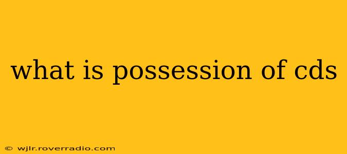 what is possession of cds