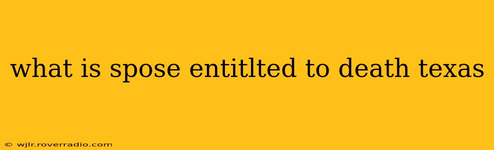 what is spose entitlted to death texas