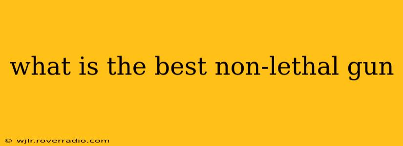 what is the best non-lethal gun
