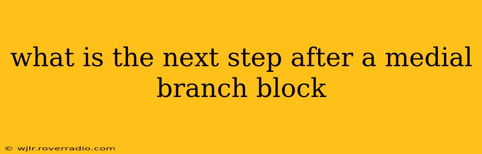 what is the next step after a medial branch block