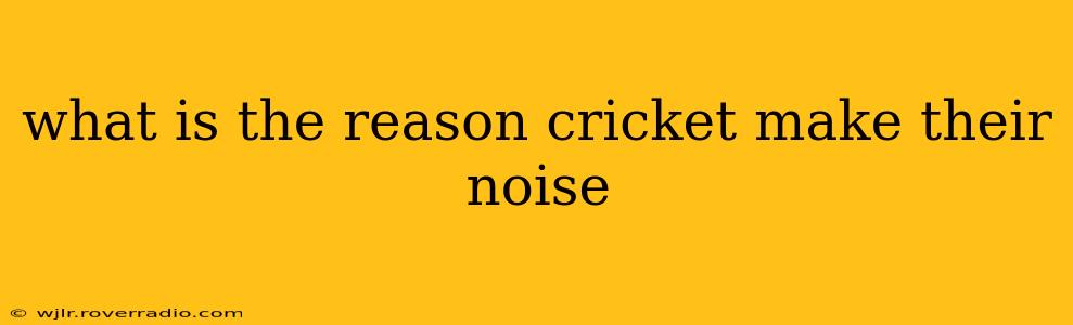 what is the reason cricket make their noise