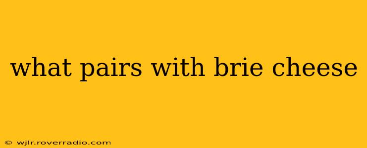 what pairs with brie cheese