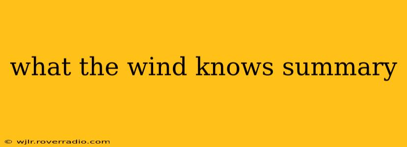 what the wind knows summary