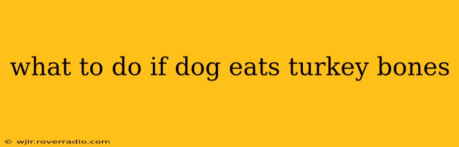 what to do if dog eats turkey bones