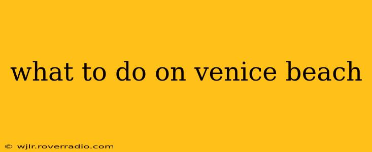 what to do on venice beach