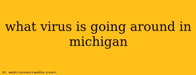 what virus is going around in michigan