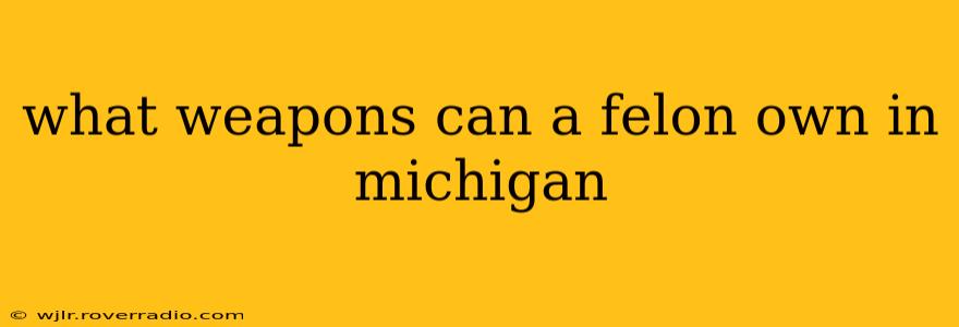 what weapons can a felon own in michigan