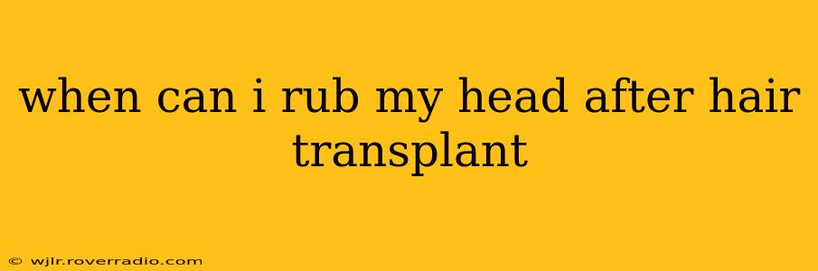 when can i rub my head after hair transplant
