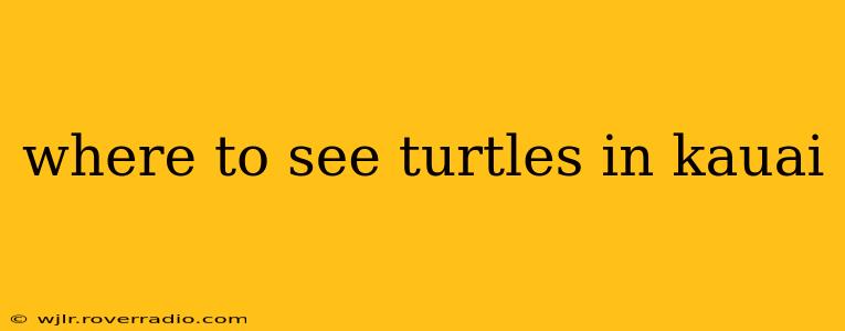 where to see turtles in kauai
