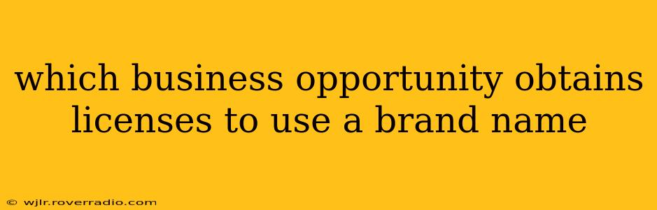 which business opportunity obtains licenses to use a brand name