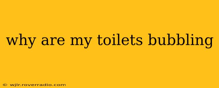 why are my toilets bubbling