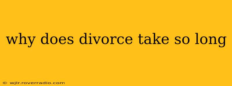 why does divorce take so long
