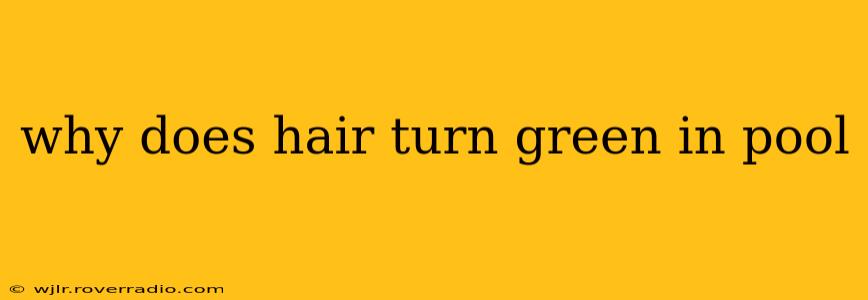 why does hair turn green in pool